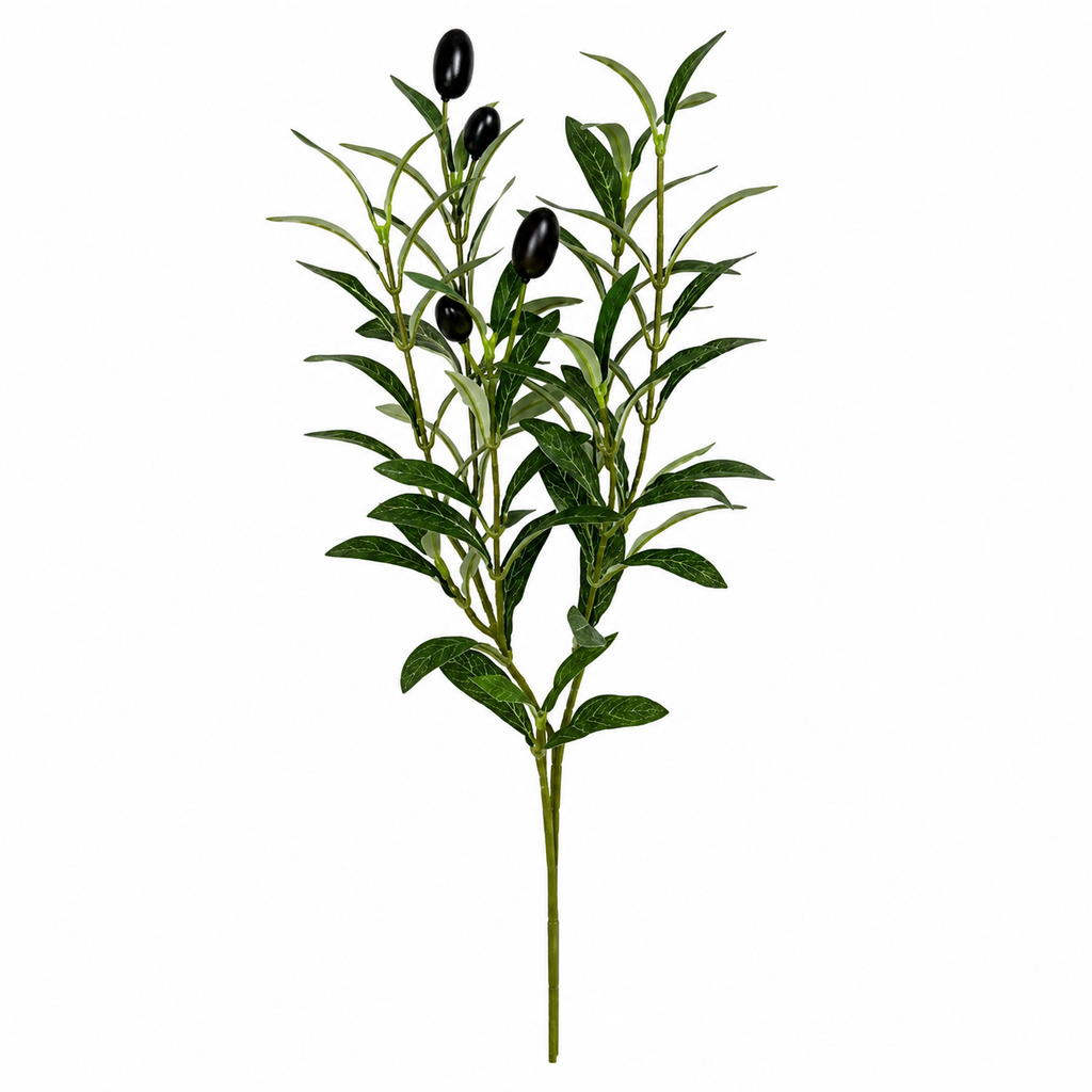 Evergreen Olive – Premium Decorative Branch