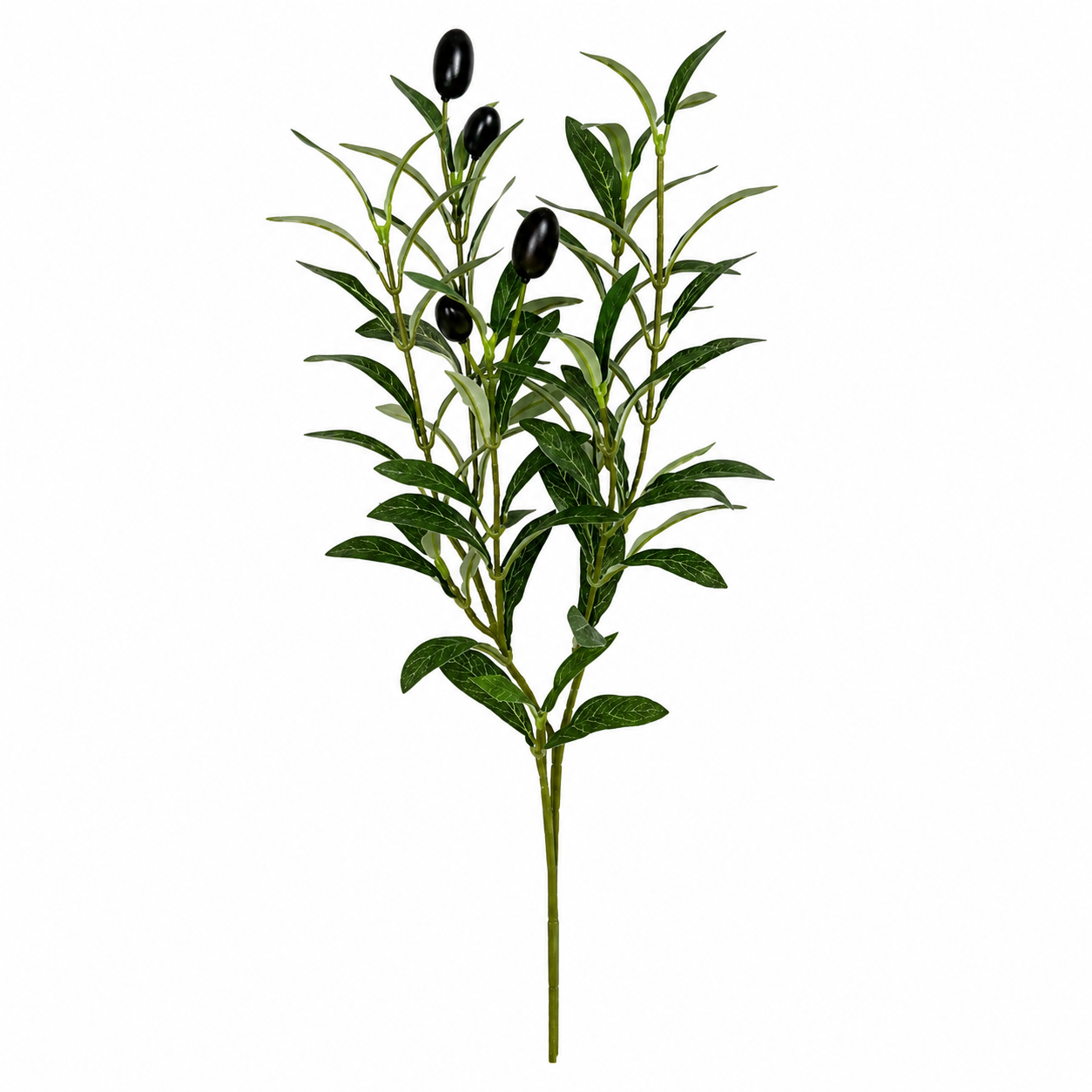 Evergreen Olive – Premium Decorative Branch
