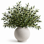 Evergreen Olive – Premium Decorative Branch