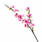 Elegant Pink Blossom Branch