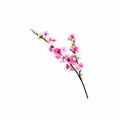 Elegant Pink Blossom Branch