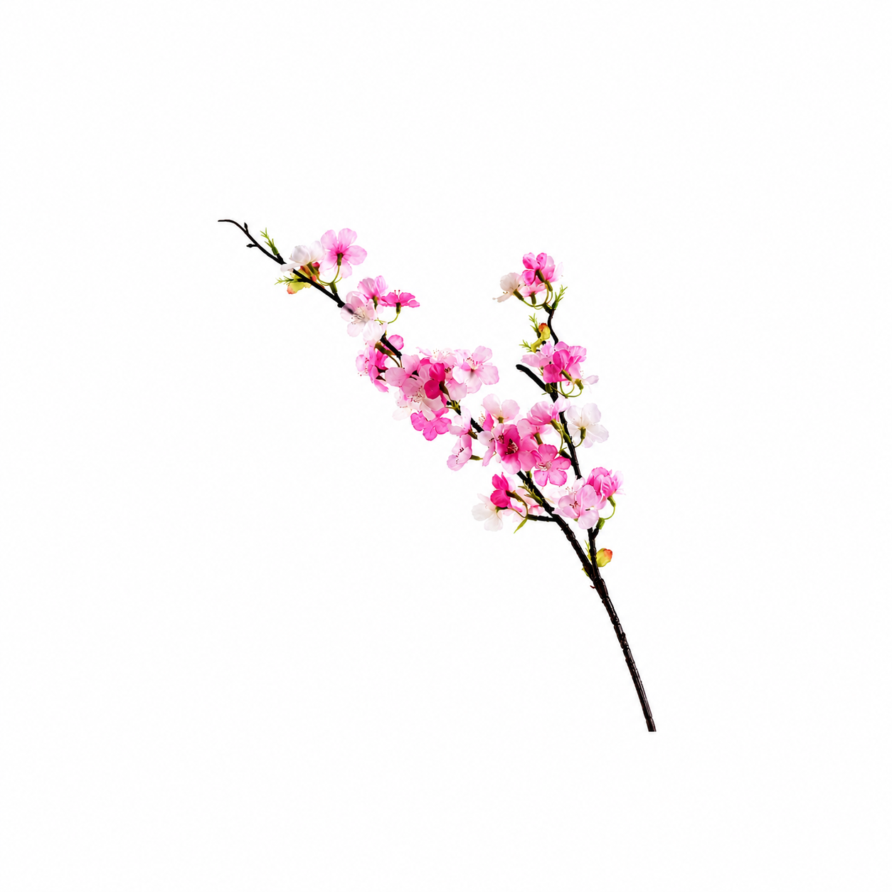 Elegant Pink Blossom Branch